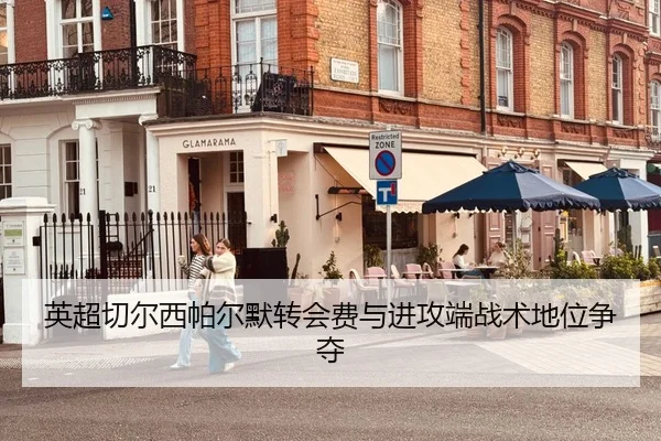 英超切尔西帕尔默转会费与进攻端战术地位争夺