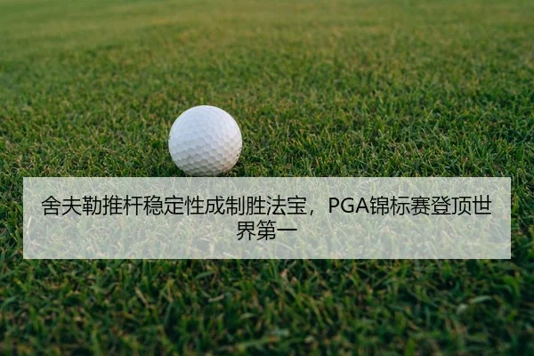she-fu-lei-tui-gan-wen-ding-xing-cheng-zhi-sheng-fa-bao-jin-biao-sai-deng-ding-shi-jie-di-yi-2-608.jpg