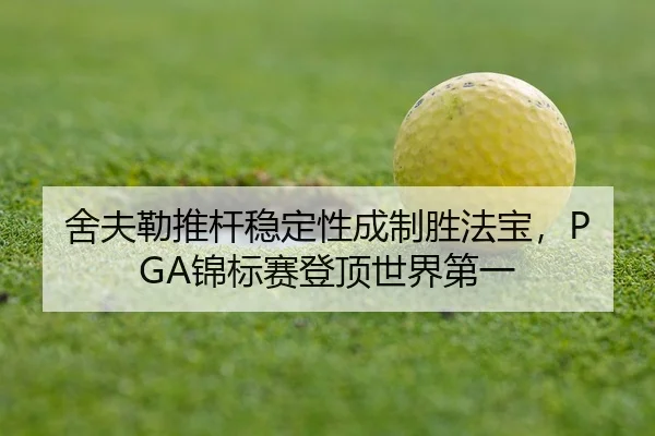 she-fu-lei-tui-gan-wen-ding-xing-cheng-zhi-sheng-fa-bao-jin-biao-sai-deng-ding-shi-jie-di-yi-3-370.jpg