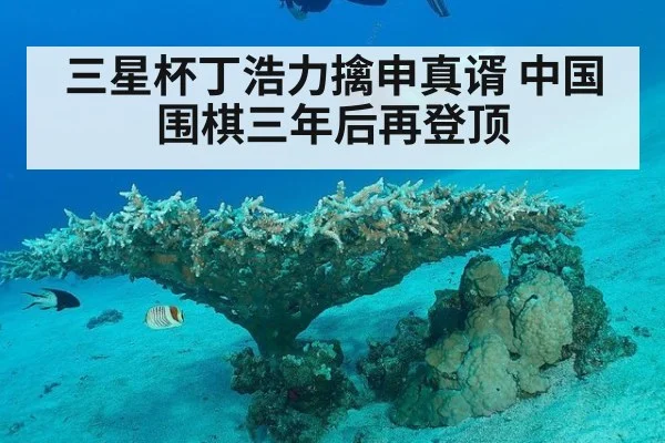 三星杯丁浩力擒申真谞 中国围棋三年后再登顶